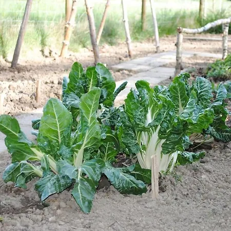 Holiday home Haus Anna Westerwald *