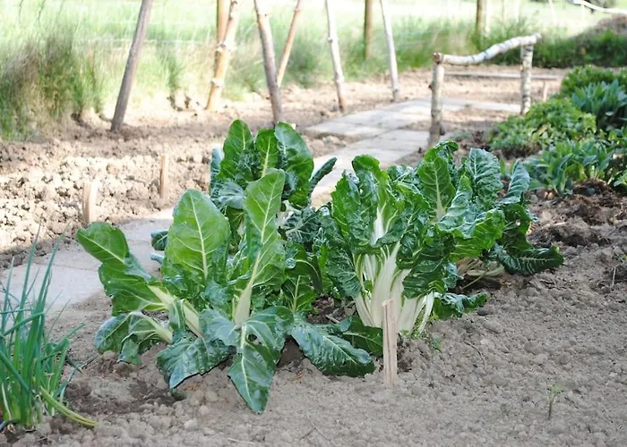 Vakantiehuis Haus Anna Westerwald *